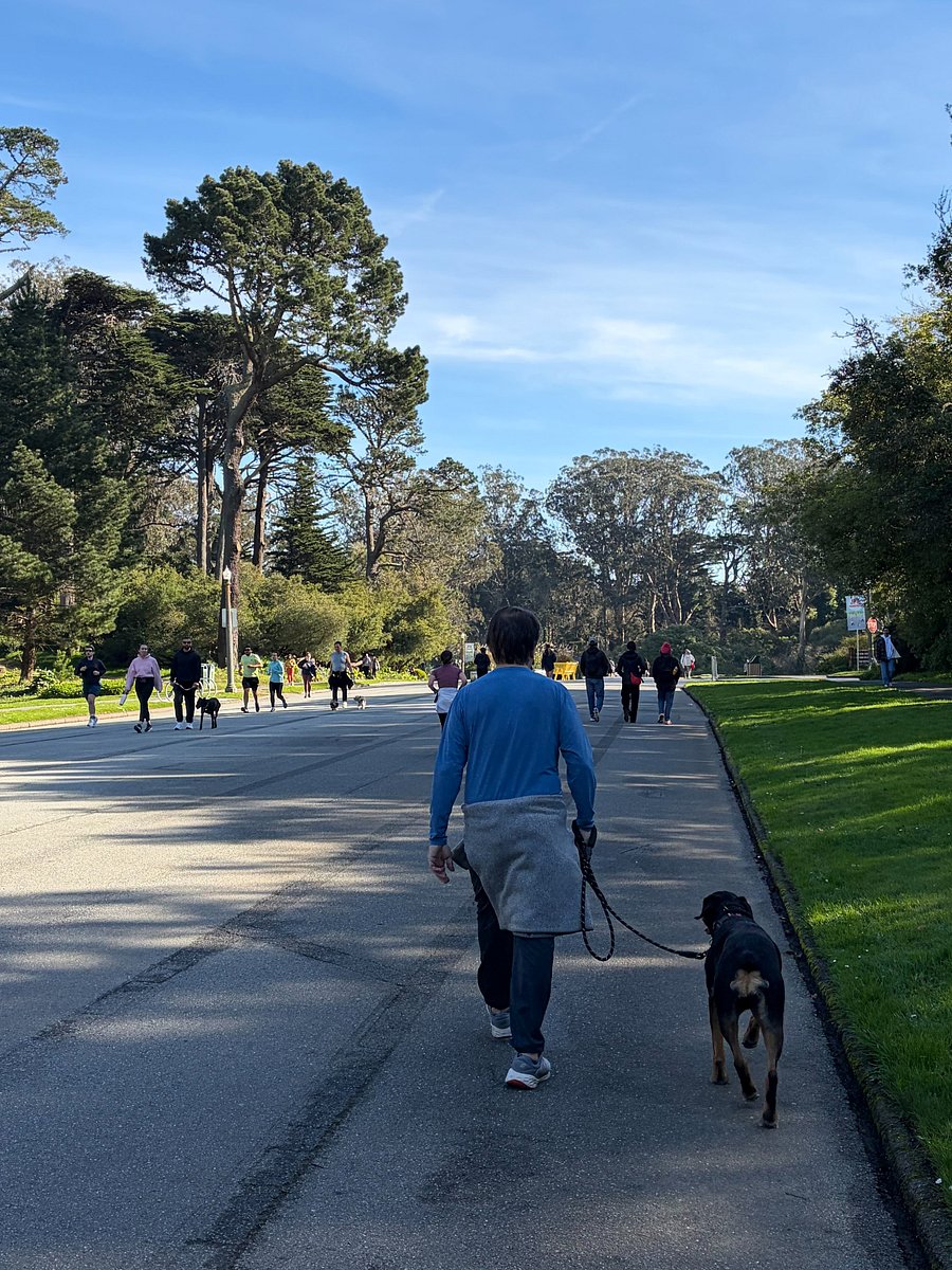 Weekends in nearby, beautiful Golden Gate Park (roads closed for pedestrians, bikes, walkers, skaters, runners. Even has a roller-skating area). 5-10 minutes away