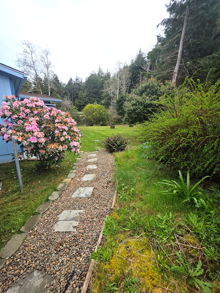 Pathway leading around the home to back yard access