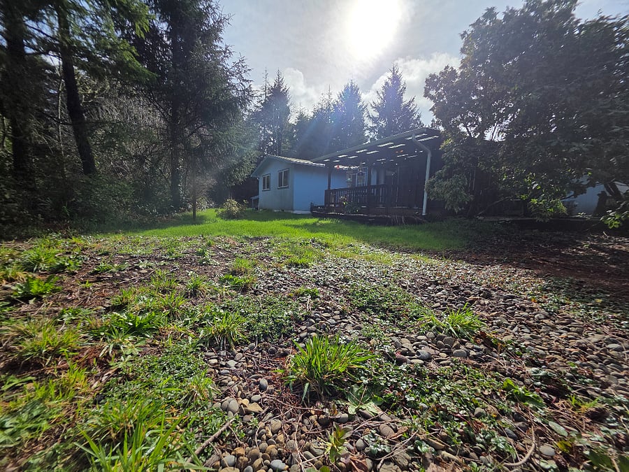 Front yard with natural tree coverage and privacy