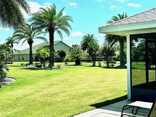 Furnished Finder property 981121_1 photo 14