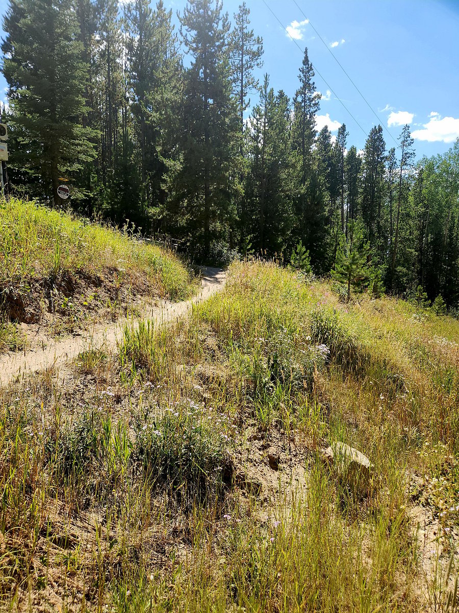 Nearby Benchmark Trail