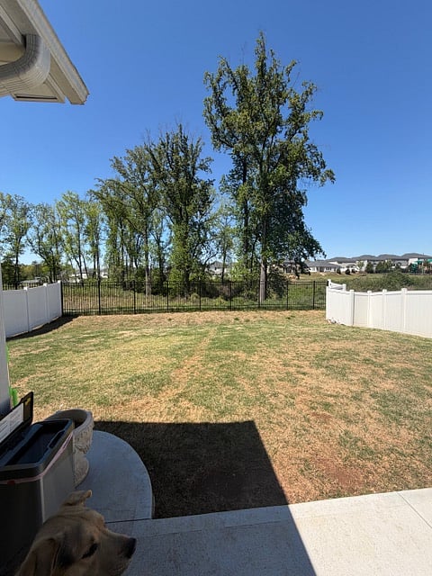 Furnished Finder property 981173_1 photo 8