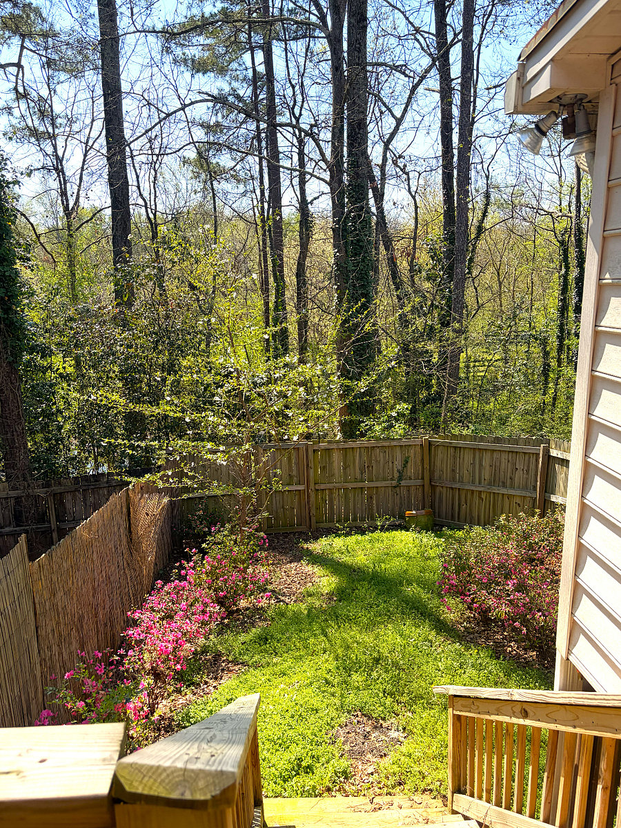 Furnished Finder property 981386_1 photo 5