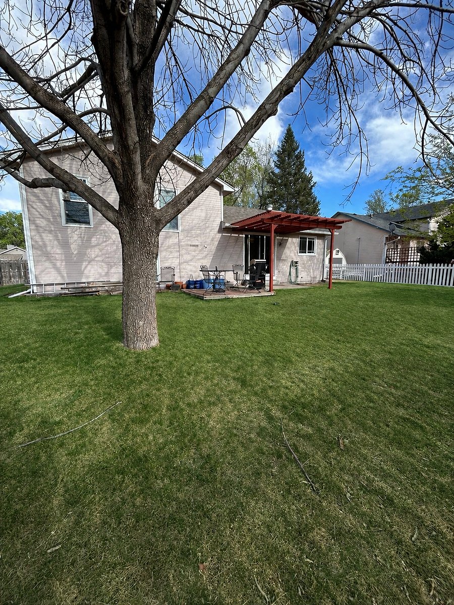 Furnished Finder property 981402_1 photo 3
