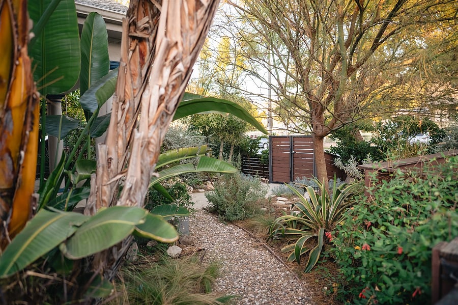 Front Yard