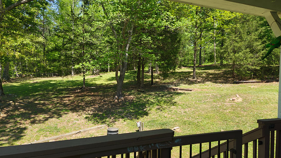 Furnished Finder property 981548_1 photo 23