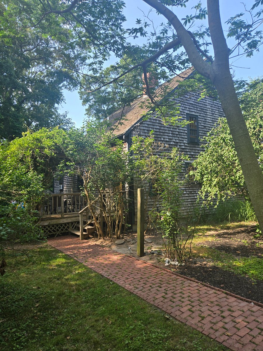 View from the walkway