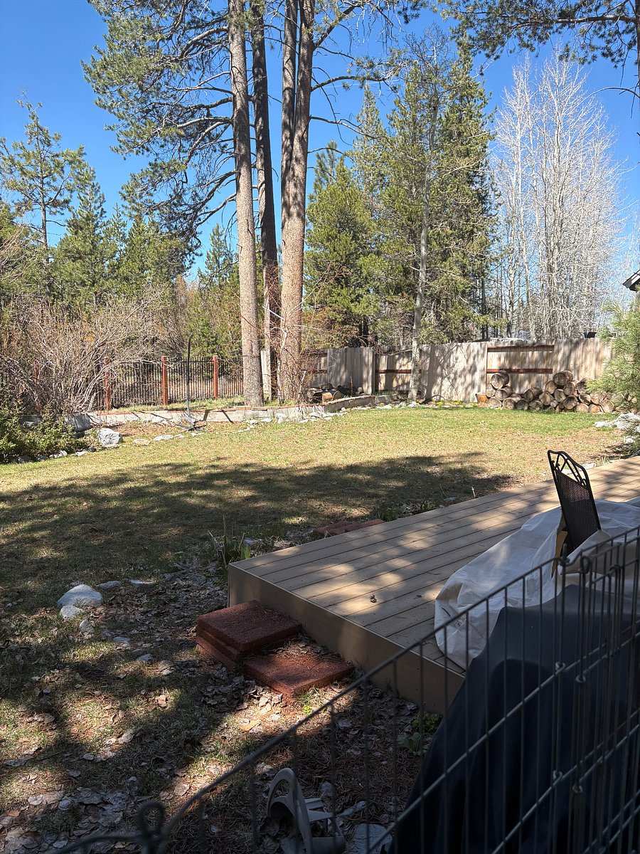 more of backyard