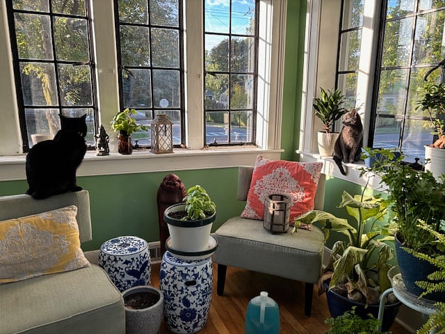 sunroom