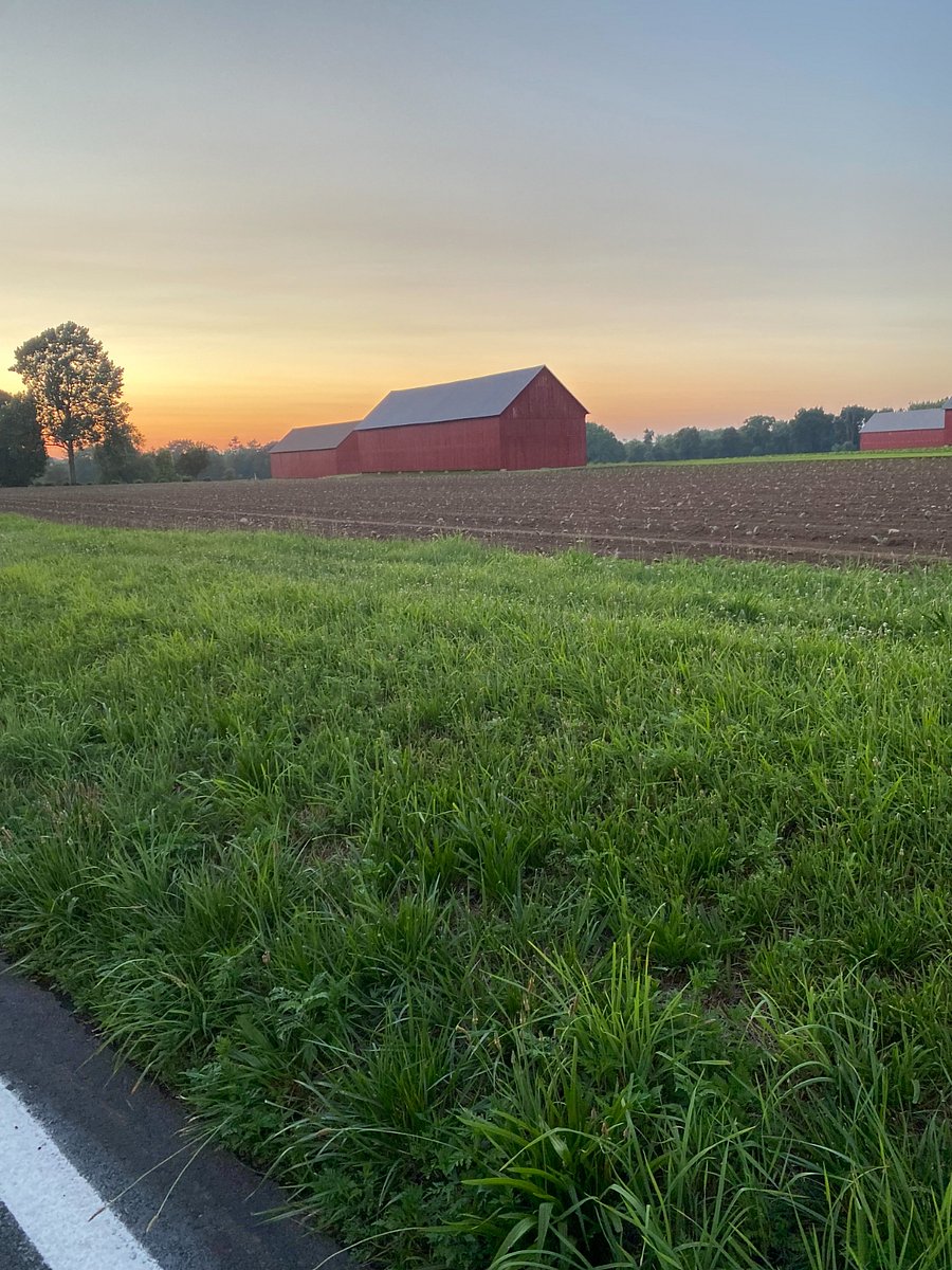 Local farms
