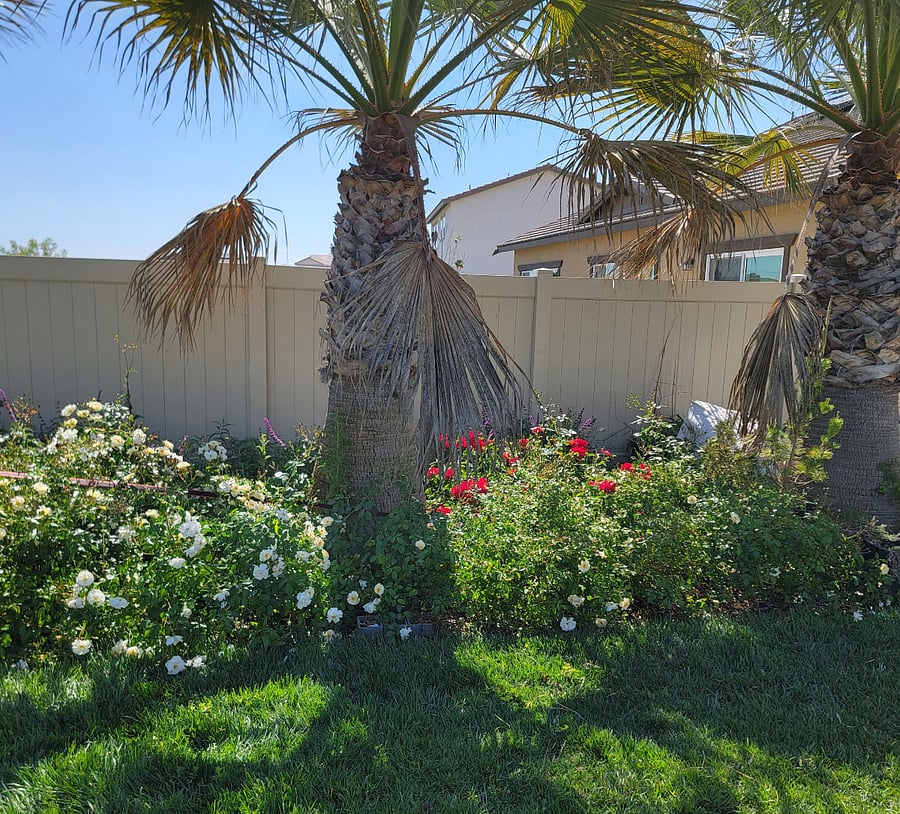 Furnished Finder property 981837_1 photo 7
