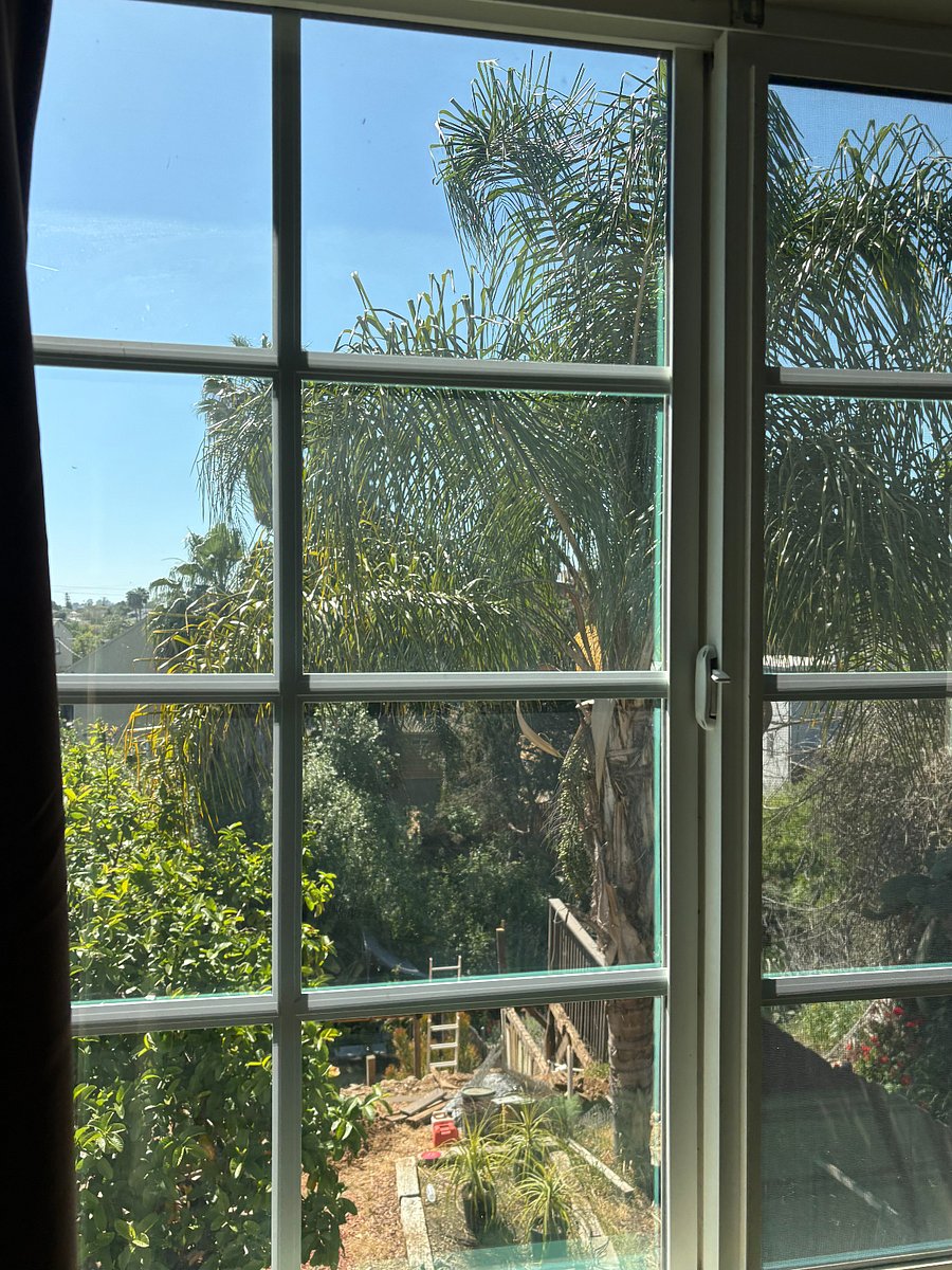 View From Upstairs Bedroom Facing The Backyard