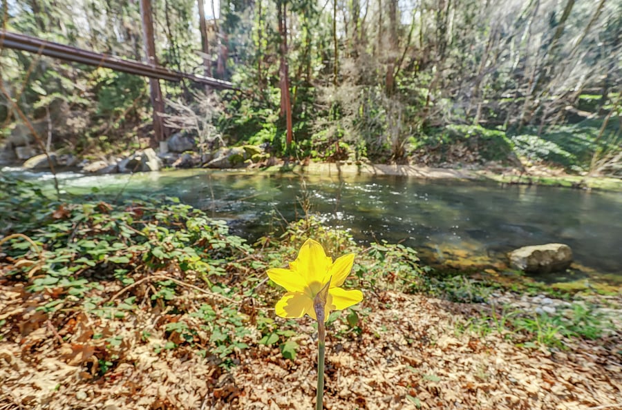 Swim in the cool clear waters of Deer Creek in the summer, right in the back yard
