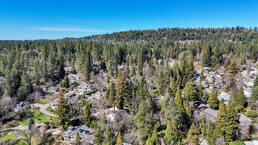 House is located on a downslope right in town, so steps from gourmet restaurants and live music, yet quiet  and peaceful 