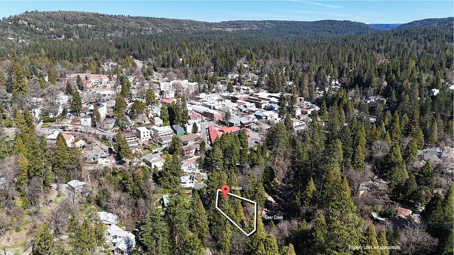 House is located on a downslope right in town, so steps from gourmet restaurants and live music, yet quiet  and peaceful 