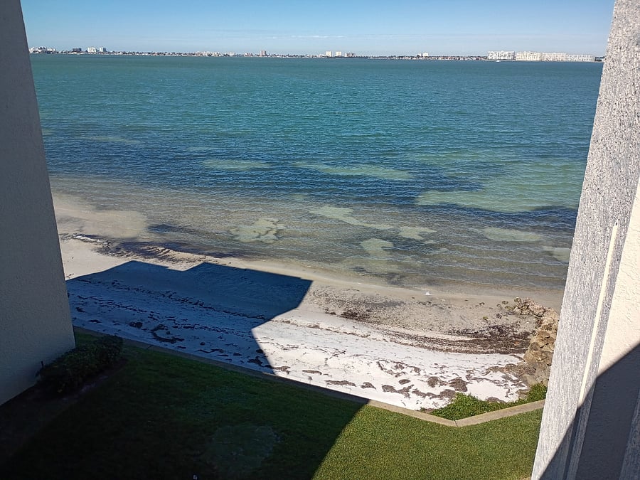Patio View
