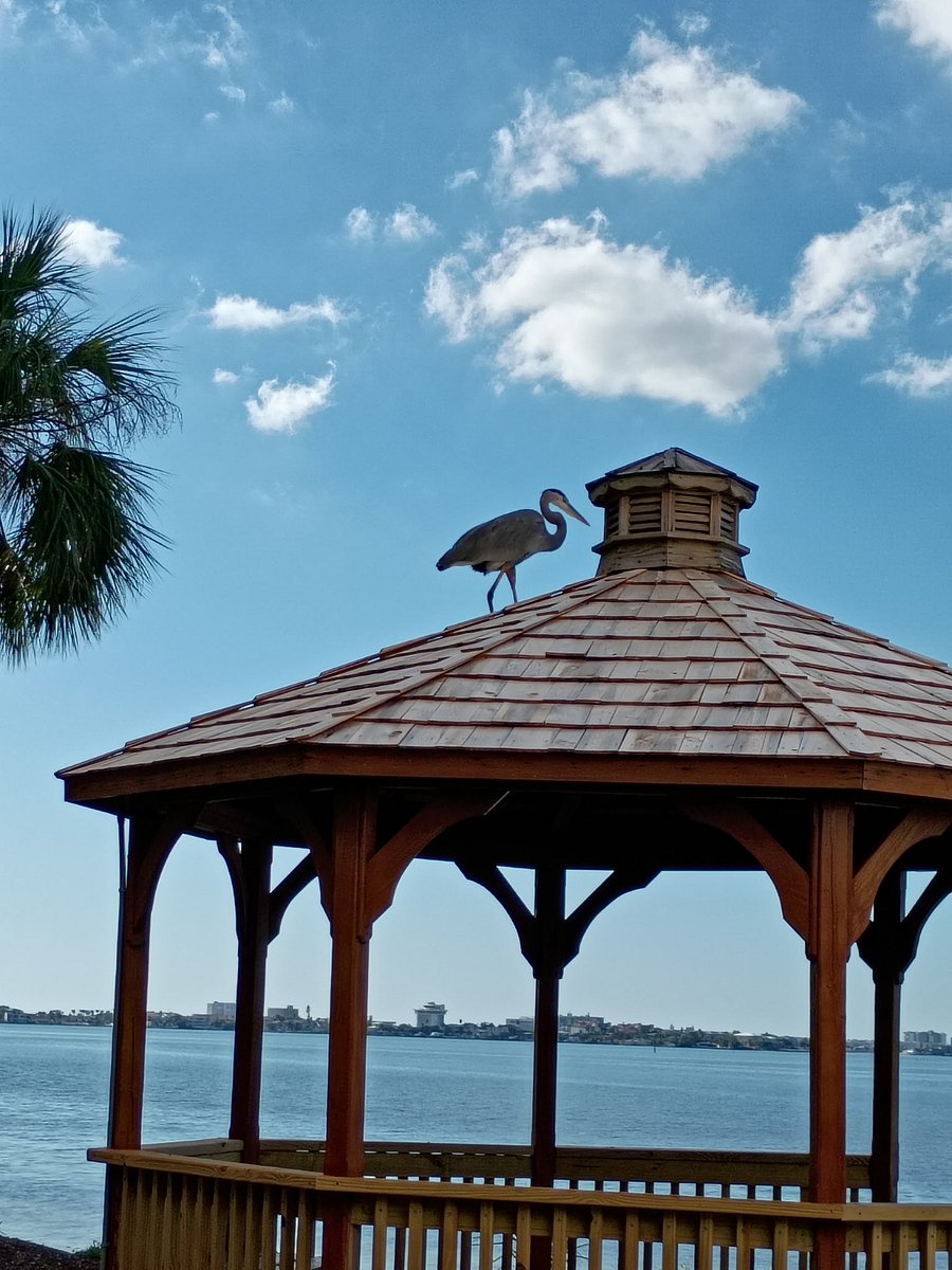 Gazebo
