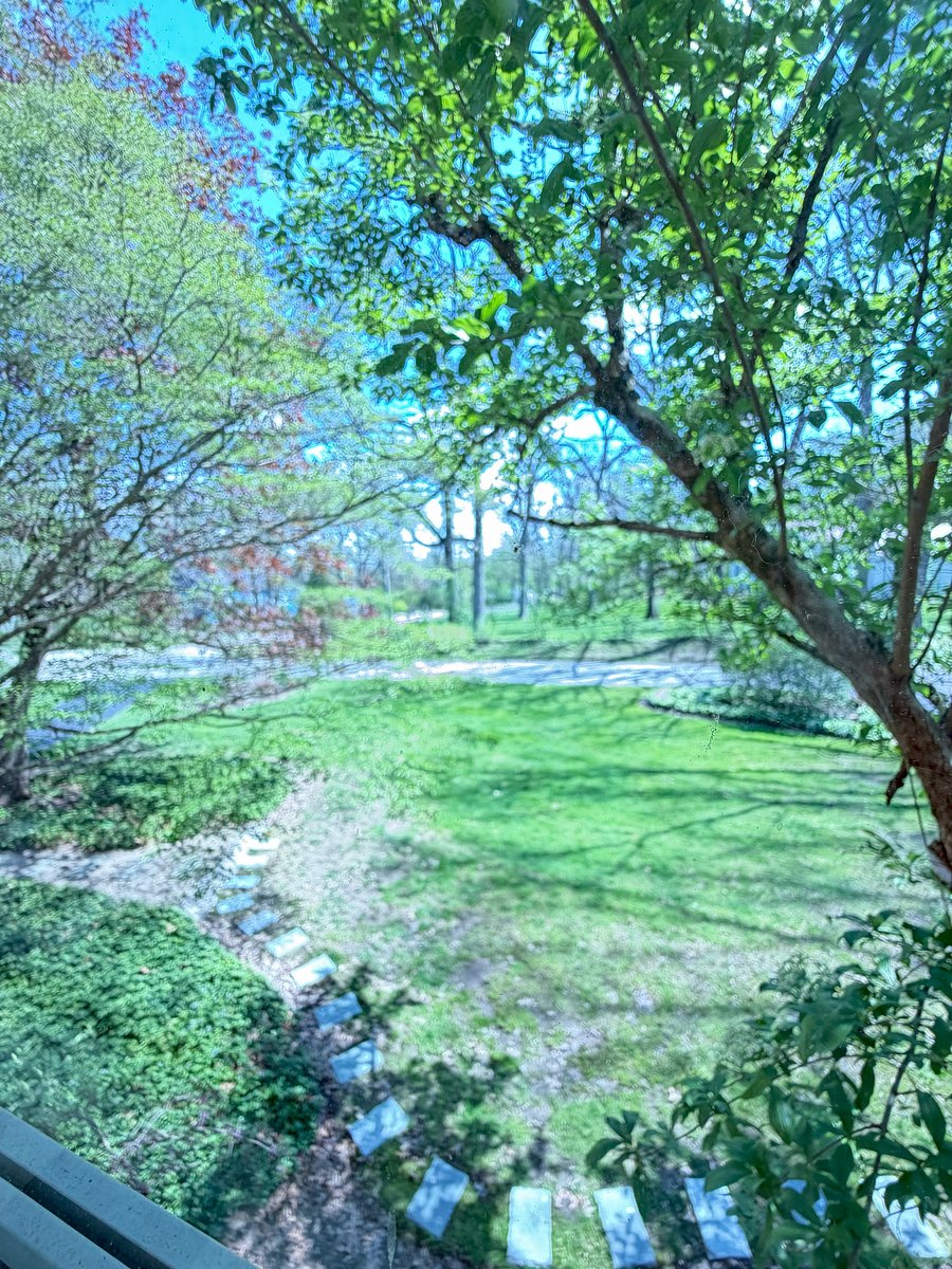 Furnished Finder property 982204_1 photo 28