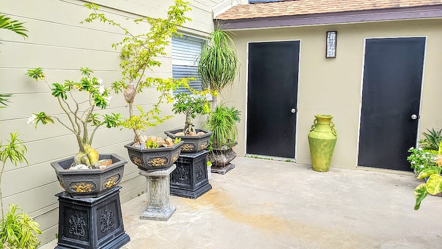 walled and gated courtyard
left door (laundry room)
right door (courtyard bathroom)