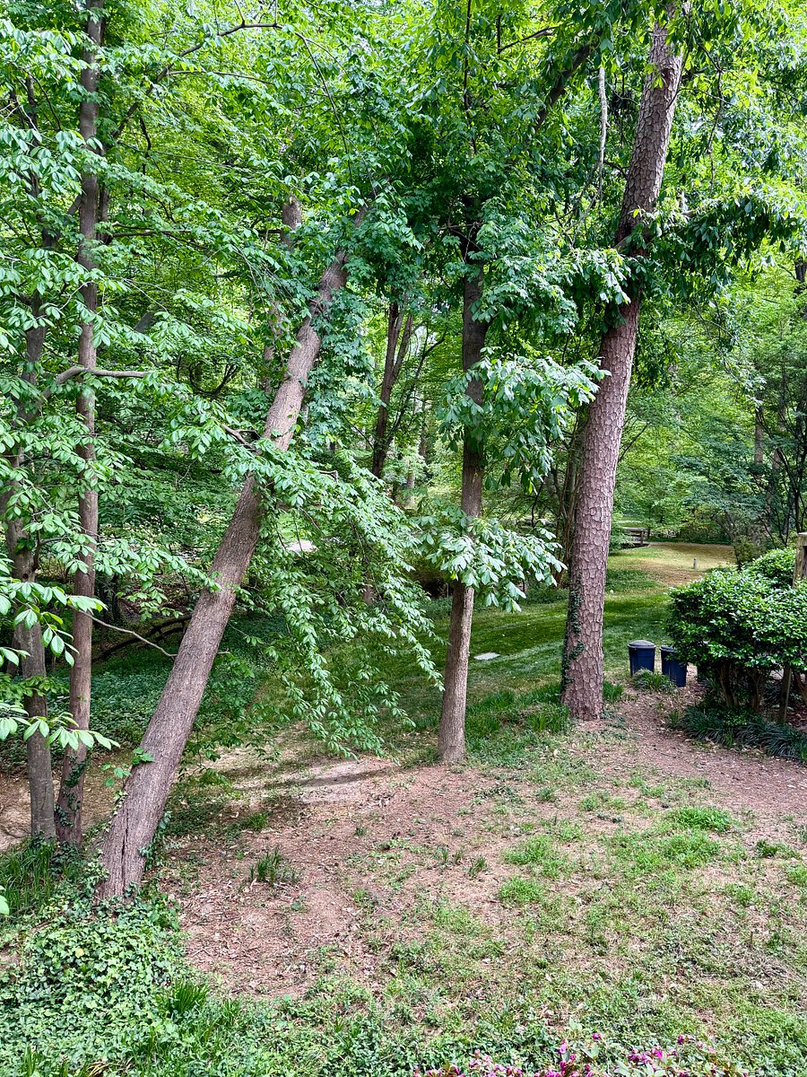 Furnished Finder property 982552_1 photo 22