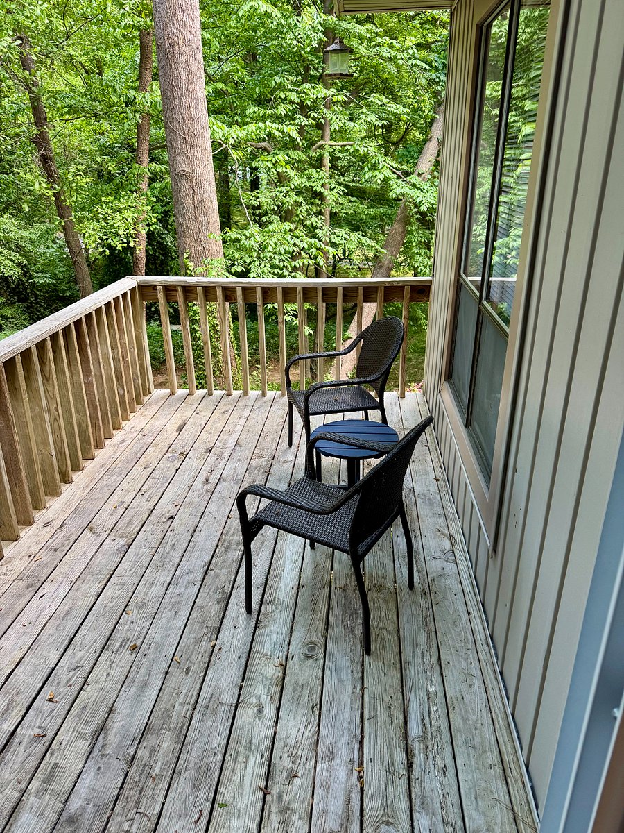 Furnished Finder property 982552_1 photo 21