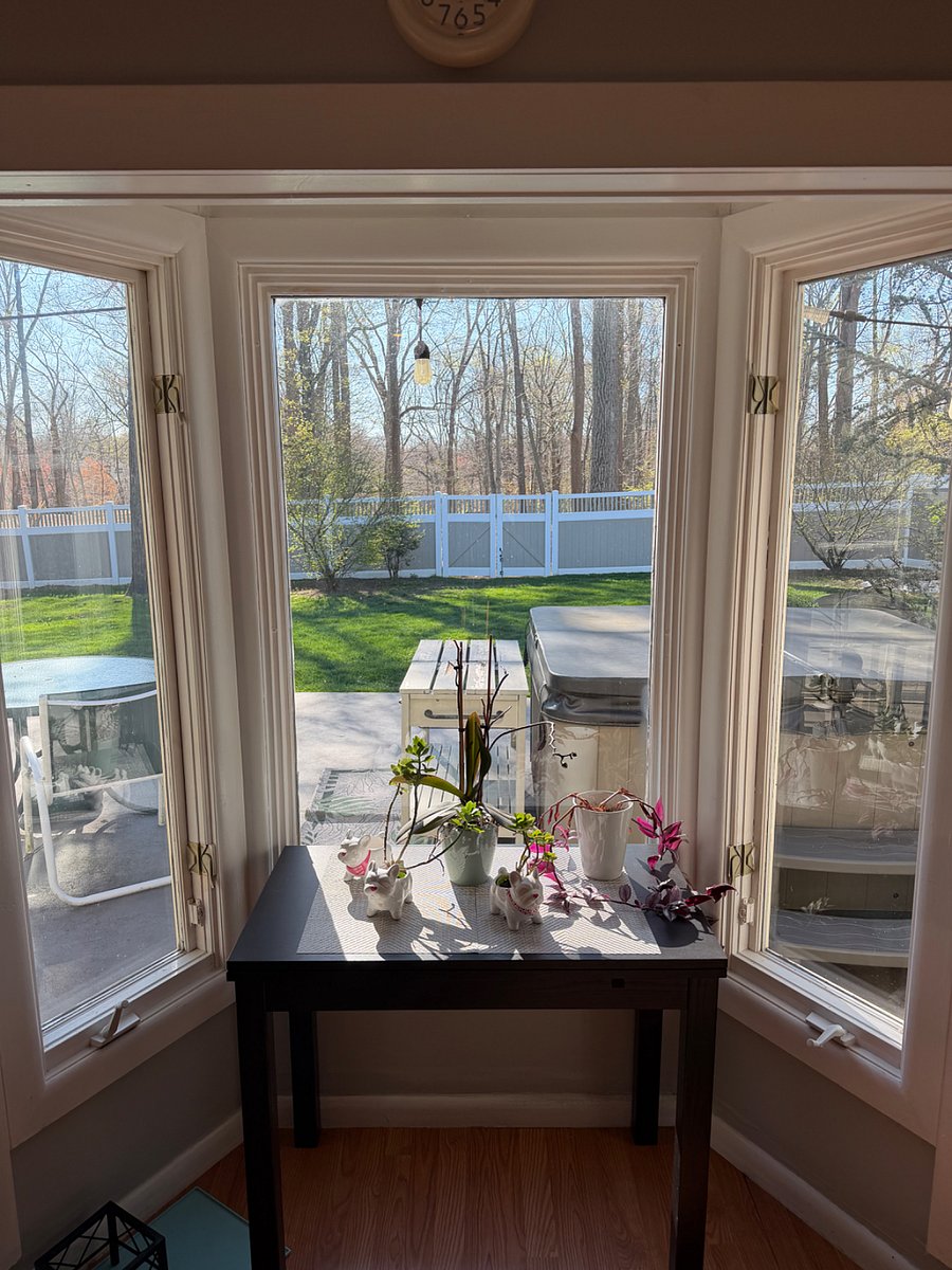 Furnished Finder property 982608_1 photo 9
