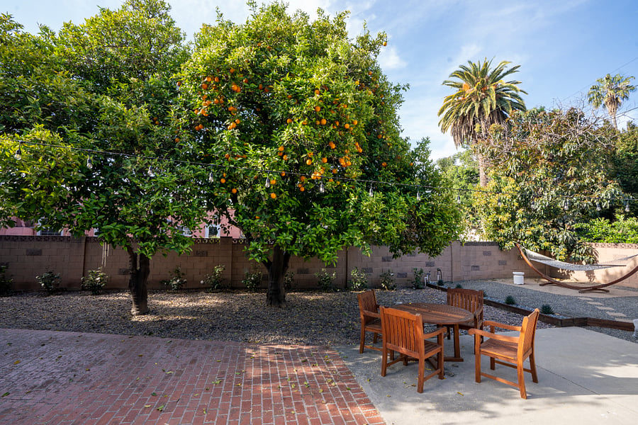 Brick patio with outdoor dining set under mature orange trees. Fully Fenced.