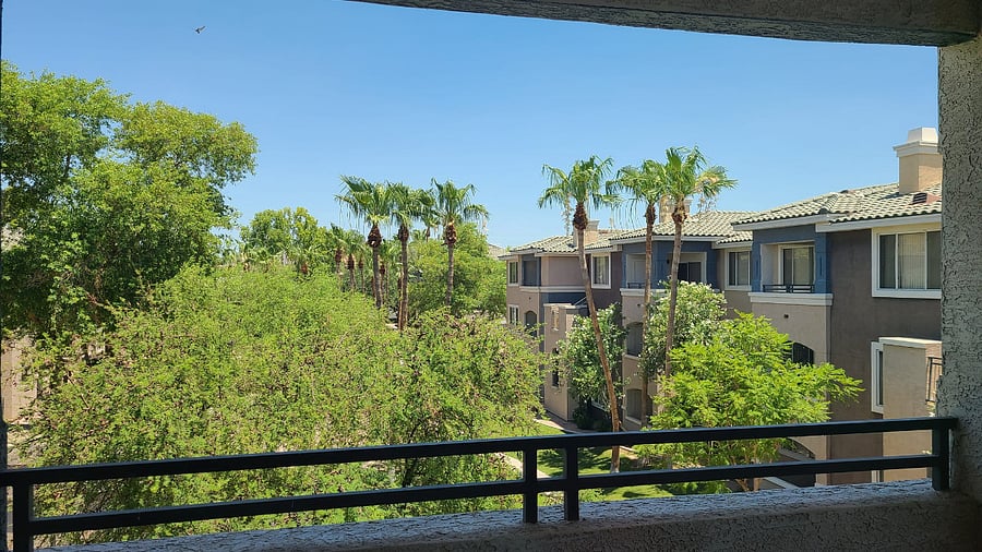 View from the patio