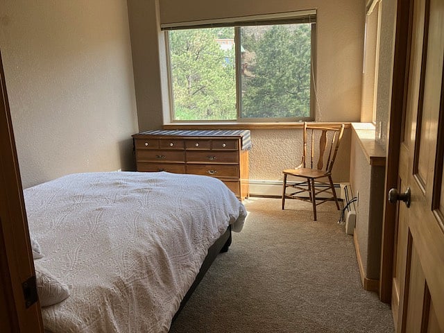 Queen bed with mountain views from both windows.