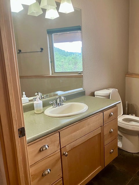 Bathroom vanity & toilet