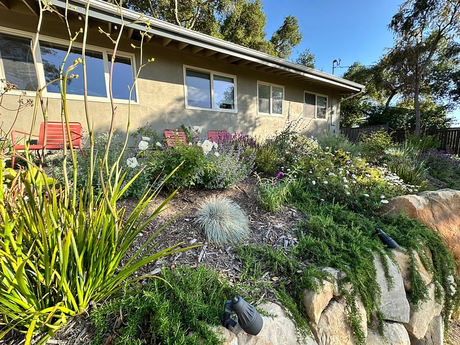 Front garden