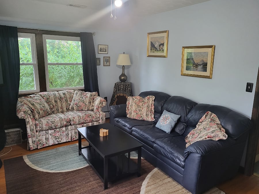 LIVING ROOM: SOFA AND LOVE SEAT