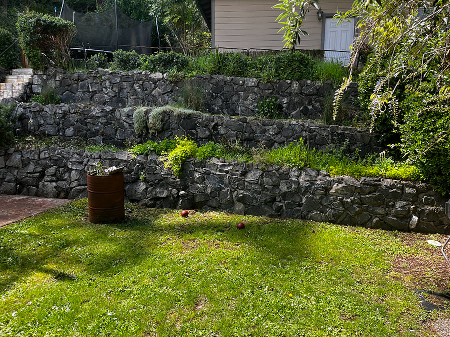 View from bedroom door of backyard area
