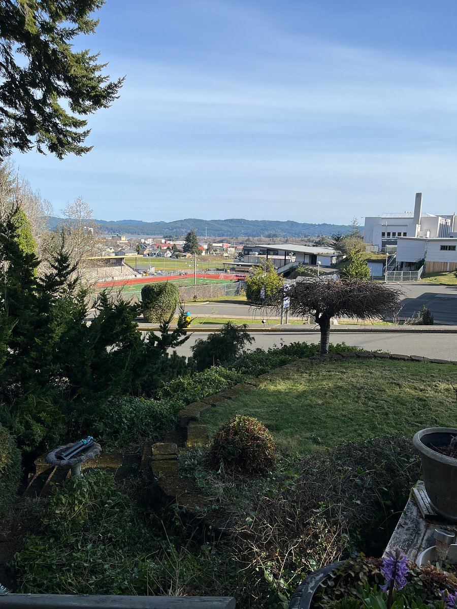 View from the deck of the bay and downtown
