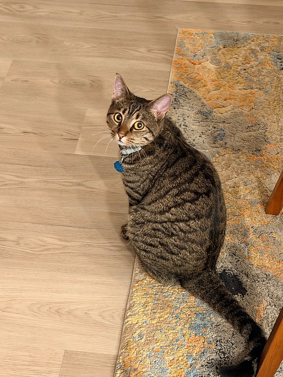 Carla