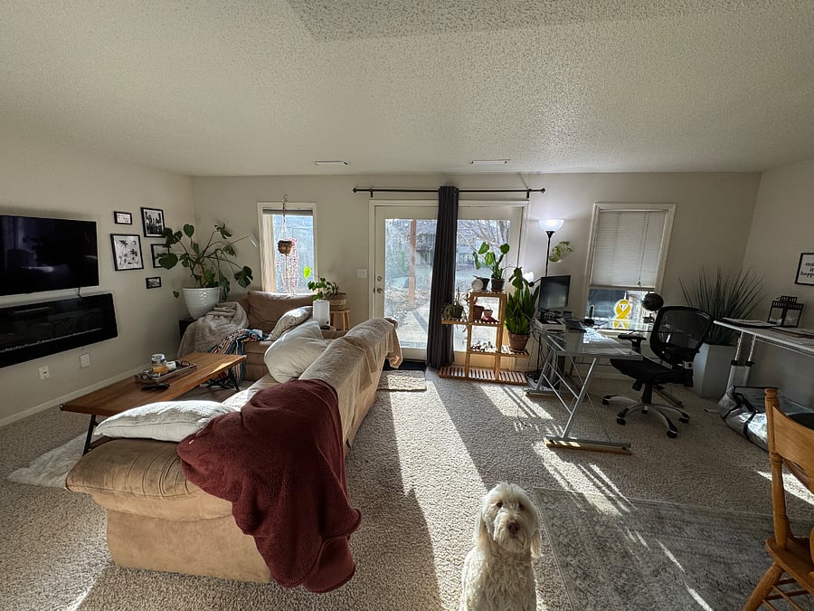 Downstairs living area and office space
