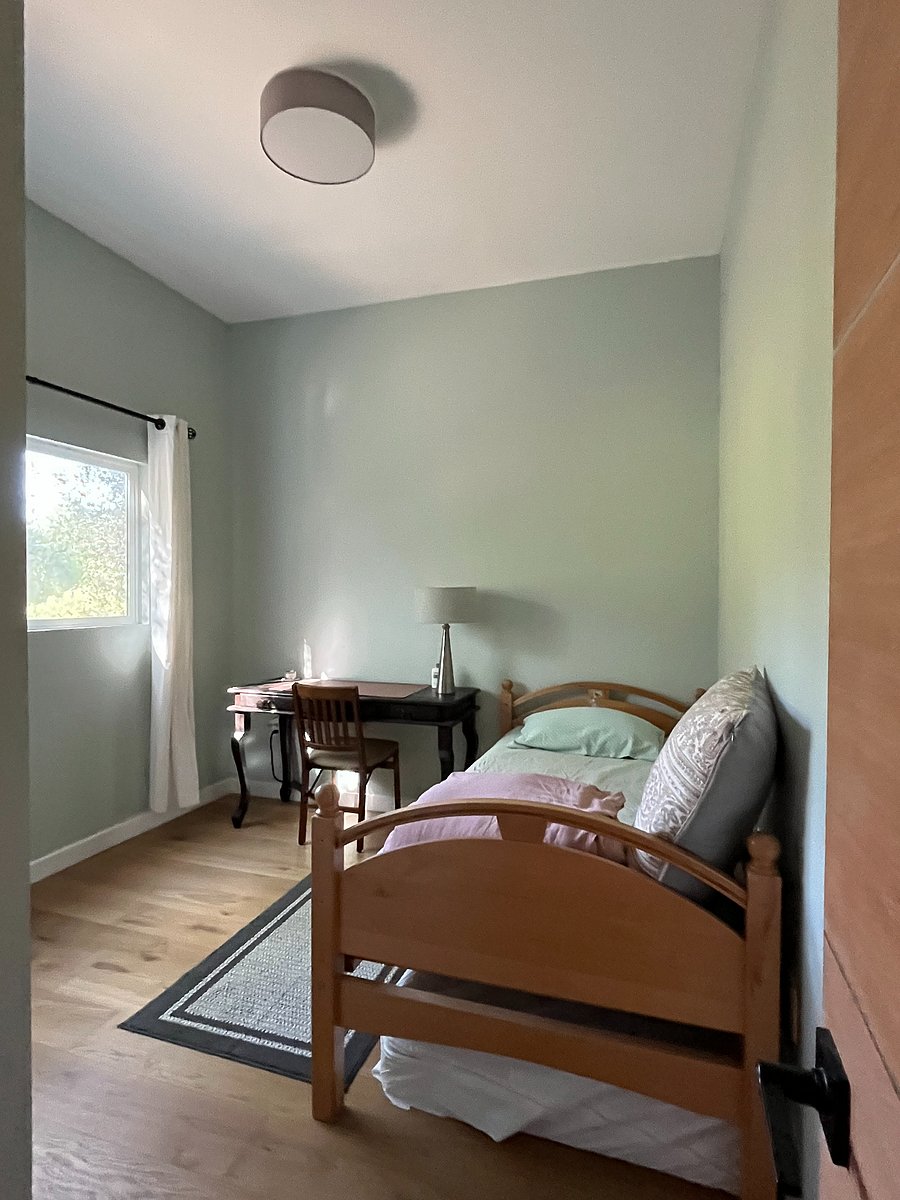 down stairs bedroom picture 1