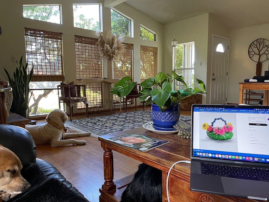 View of the front entrance from the sofa.