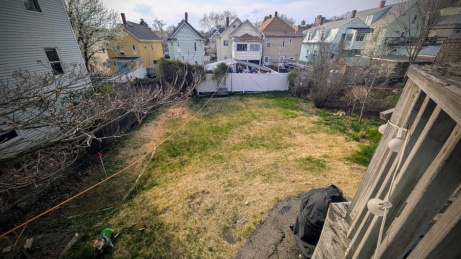 Spacious yard by Somerville standards