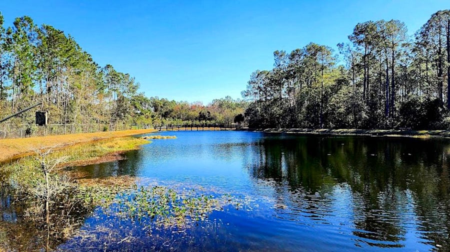 Crystal Springs Park
