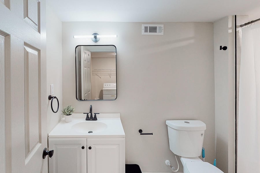 Basement bathroom (one view)