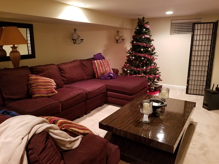 Basement living area