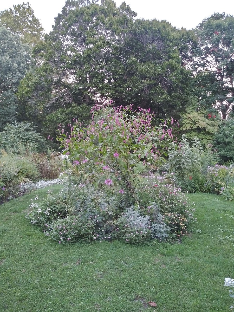 Bartram's Garden