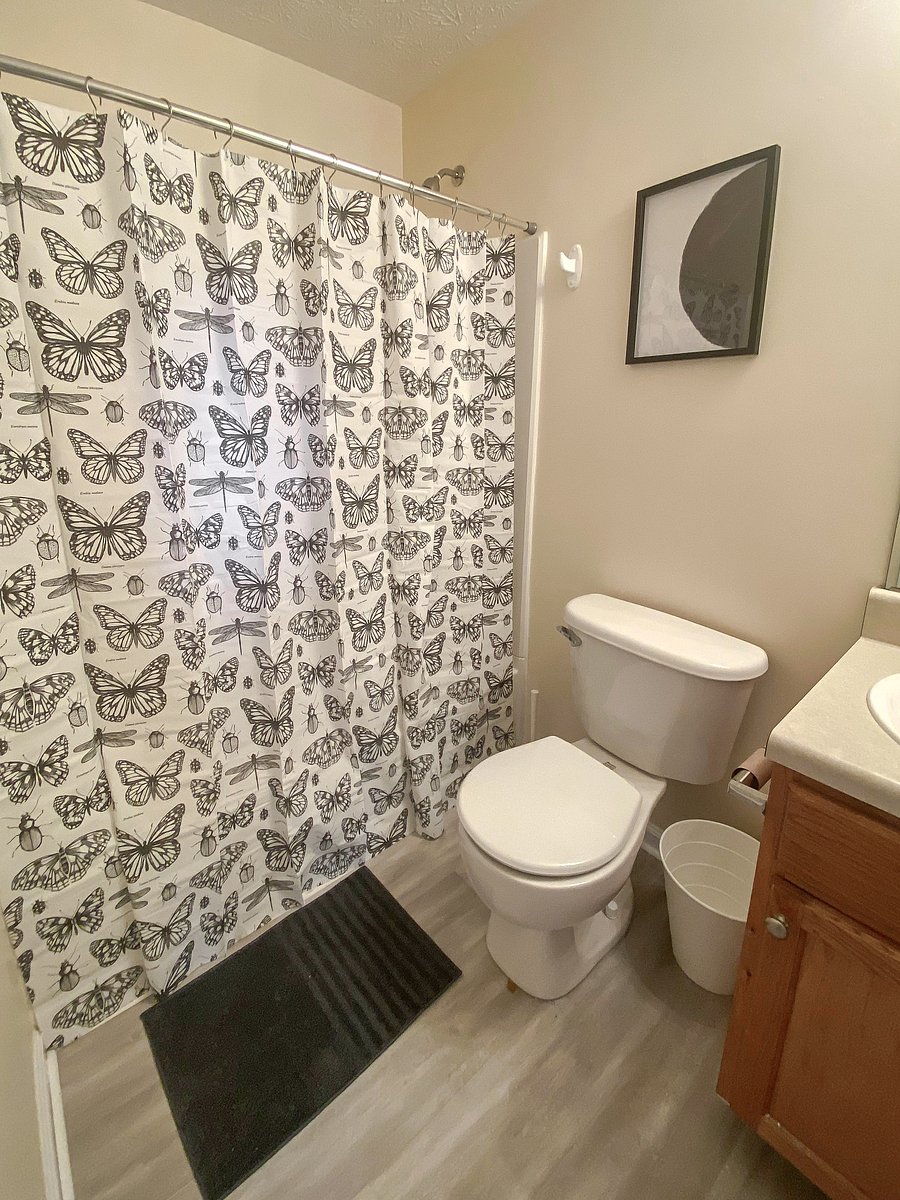 Furnished Finder property 983784_1 photo 12