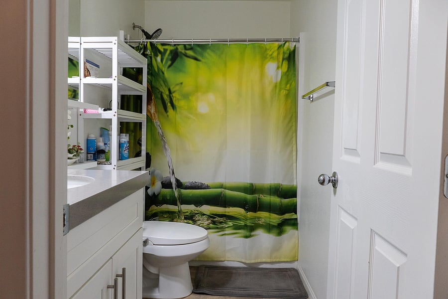 Common Bathroom 1.2