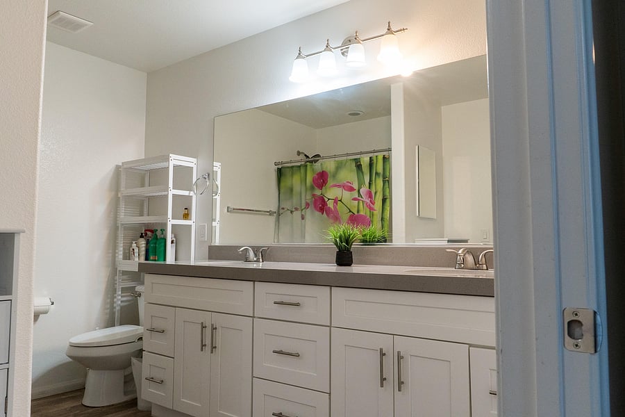 Master bathroom #2.1