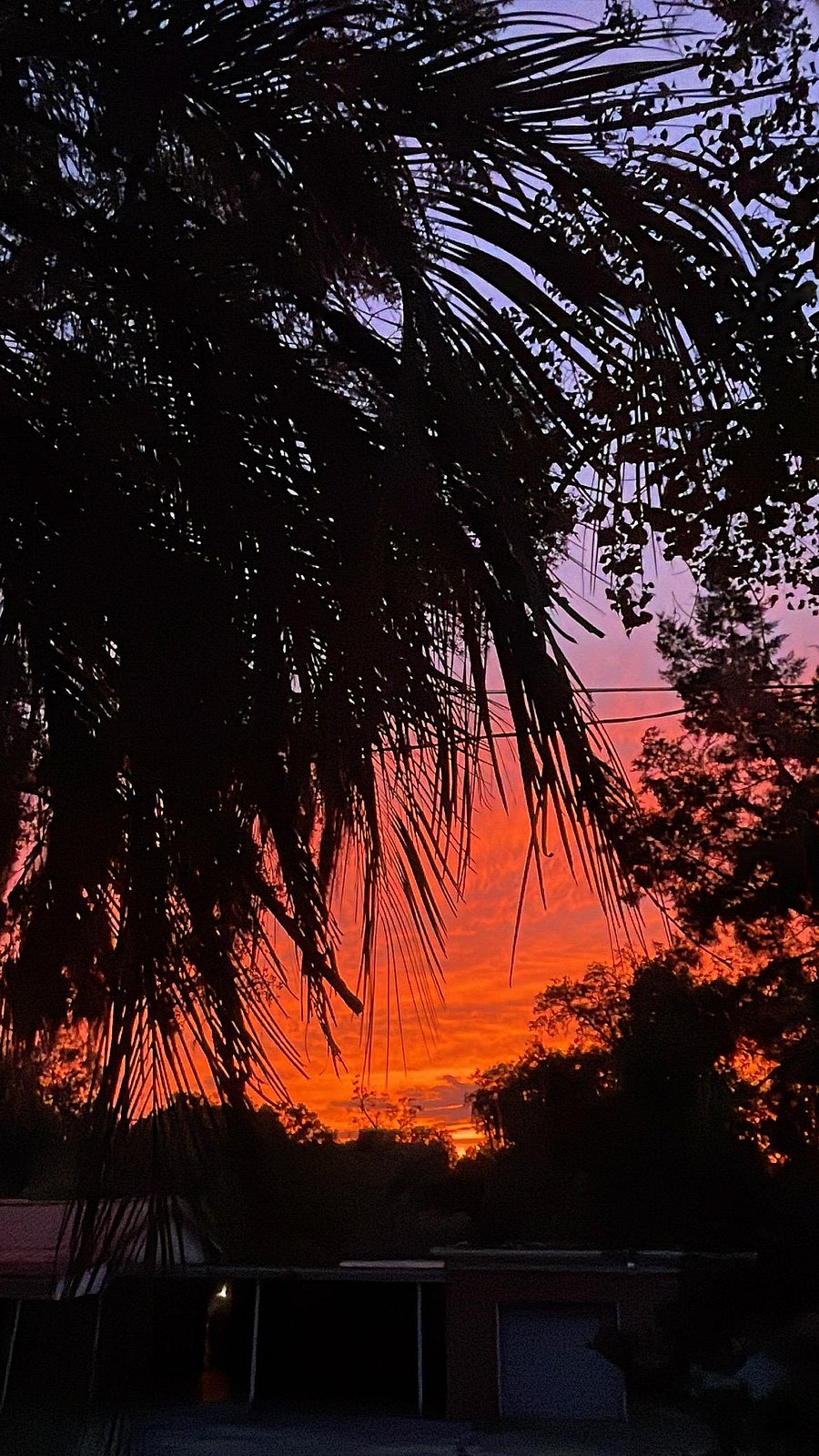 amazing sunsets in Riverview