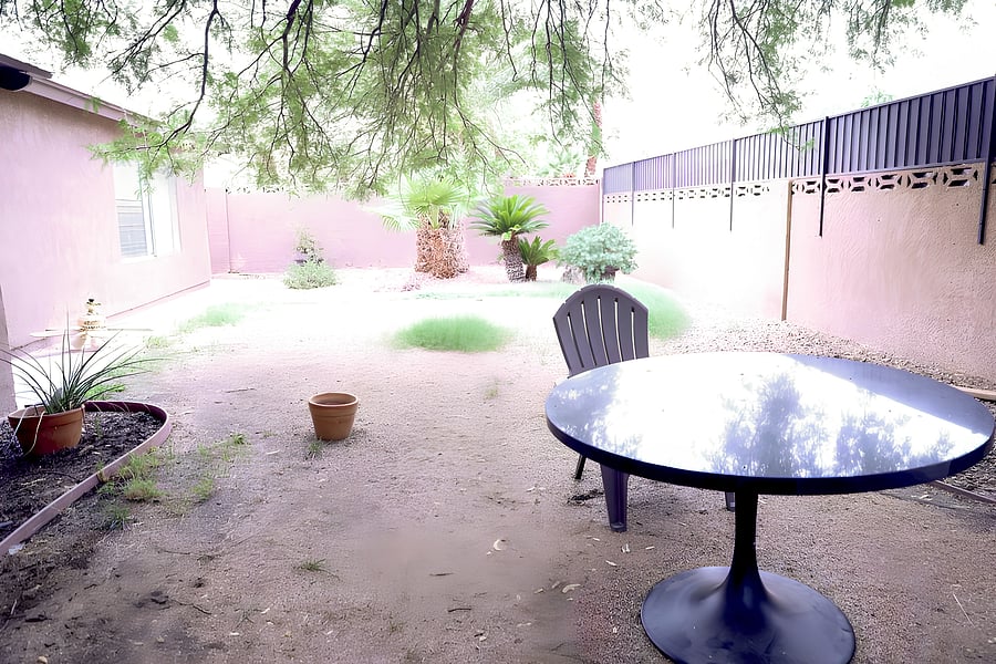backyard