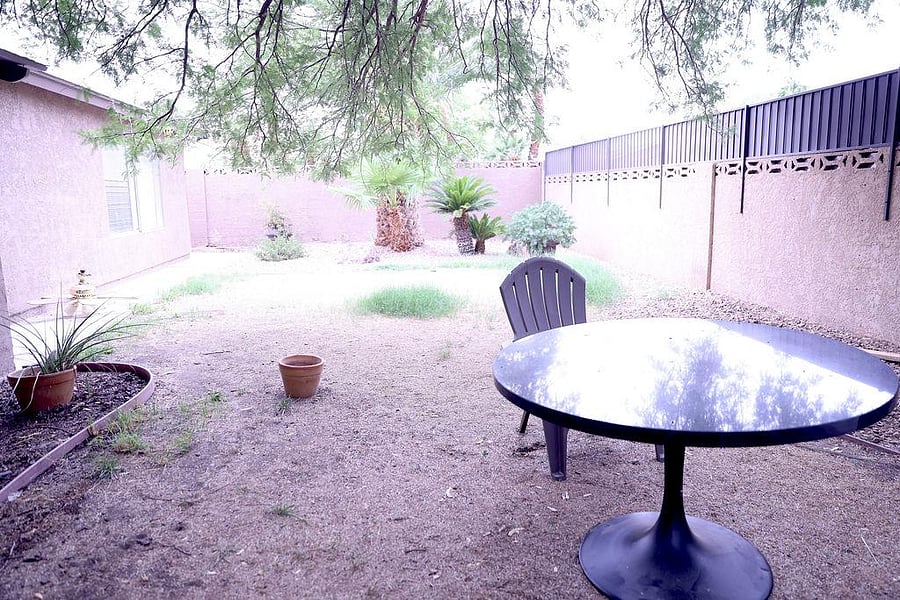 backyard