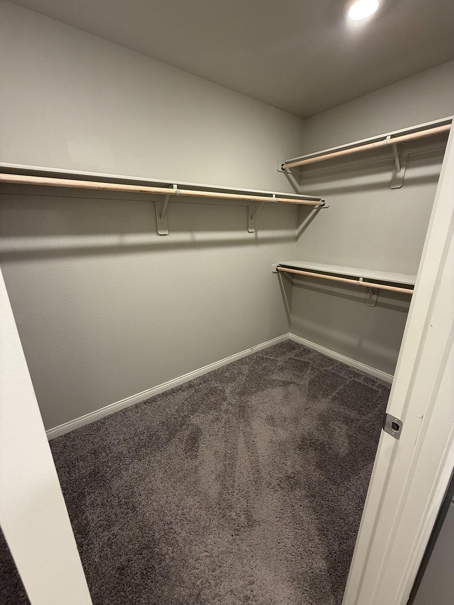 Walk-in closet with carpeted flooring, built-in shelving, and double hanging rods for organized wardrobe storage.